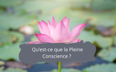 Qu’est-ce que la Pleine Conscience (Mindfulness)