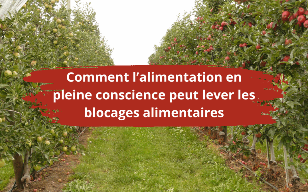 Comment l’alimentation en pleine conscience peut lever les blocages alimentaires